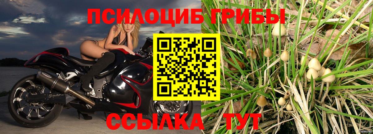 Галлюциногенные грибы GOLDEN TEACHER  Галлюциногенные грибы Magic Shrooms  Вход с VPN  Аша 