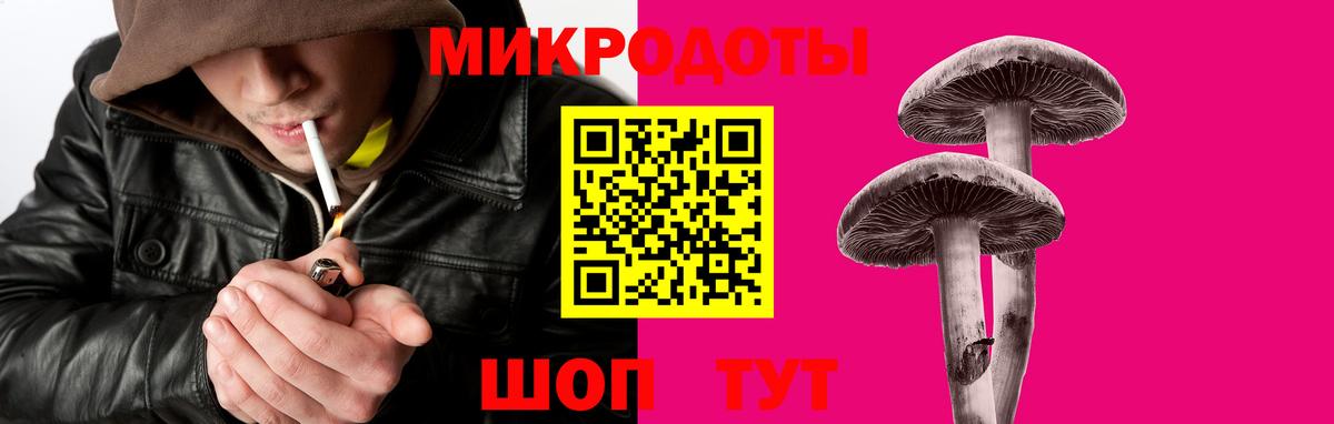 Псилоцибиновые грибы Psilocybe Аша